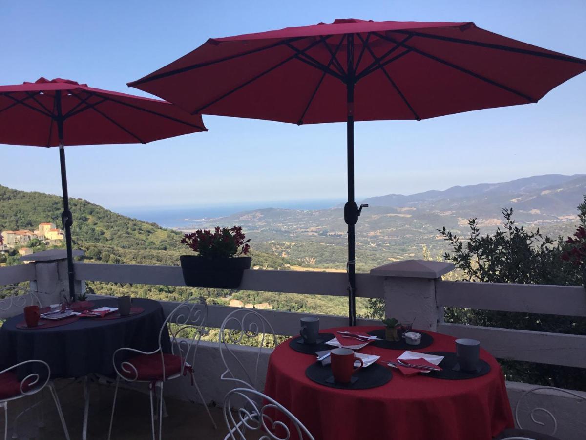 U Riposu Di A Cupulatta Bed and Breakfast Sollacaro Eksteriør billede